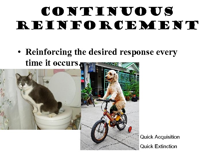 Continuous Reinforcement • Reinforcing the desired response every time it occurs. Quick Acquisition Quick