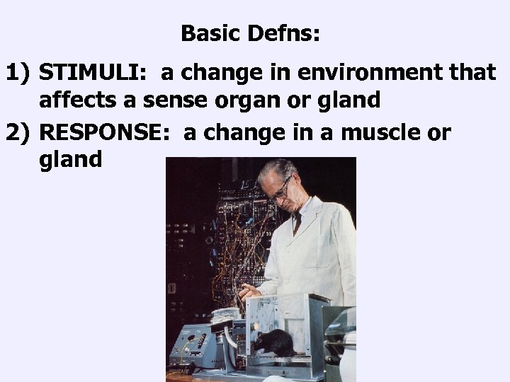 Basic Defns: 1) STIMULI: a change in environment that affects a sense organ or