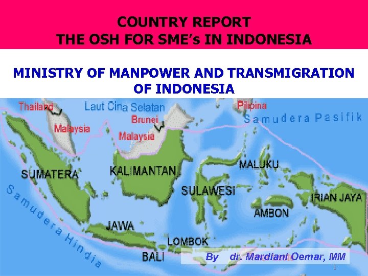 COUNTRY REPORT THE OSH FOR SME’s IN INDONESIA MINISTRY OF MANPOWER AND TRANSMIGRATION OF