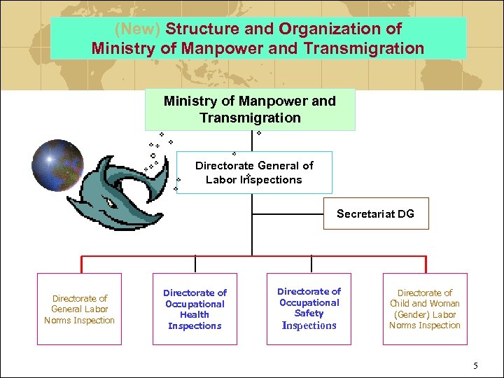 (New) Structure and Organization of Ministry of Manpower and Transmigration Directorate General of Labor