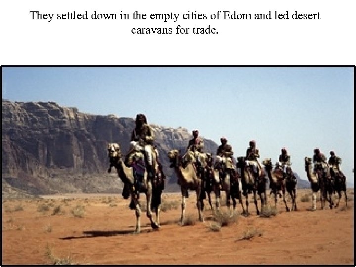 They settled down in the empty cities of Edom and led desert caravans for