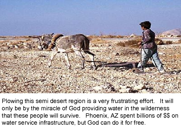 Plowing in desert Plowing this semi desert region is a very frustrating effort. It