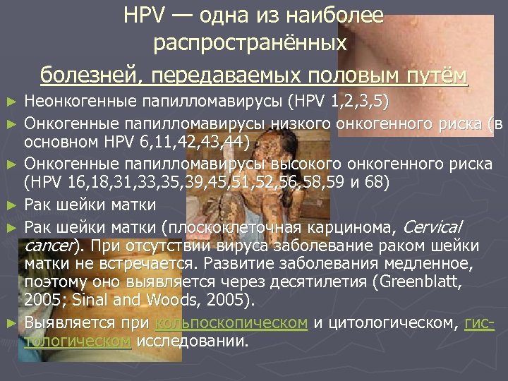 HPV — одна из наиболее распространённых болезней, передаваемых половым путём Неонкогенные папилломавирусы (HPV 1,