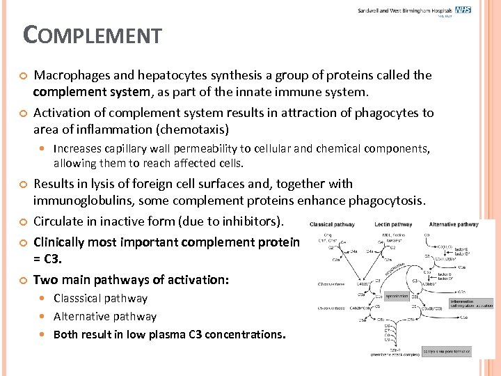 COMPLEMENT Macrophages and hepatocytes synthesis a group of proteins called the complement system, as