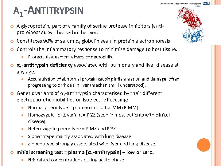 Α 1 -ANTITRYPSIN A glycoprotein, part of a family of serine protease inhibitors (antiproteinease).