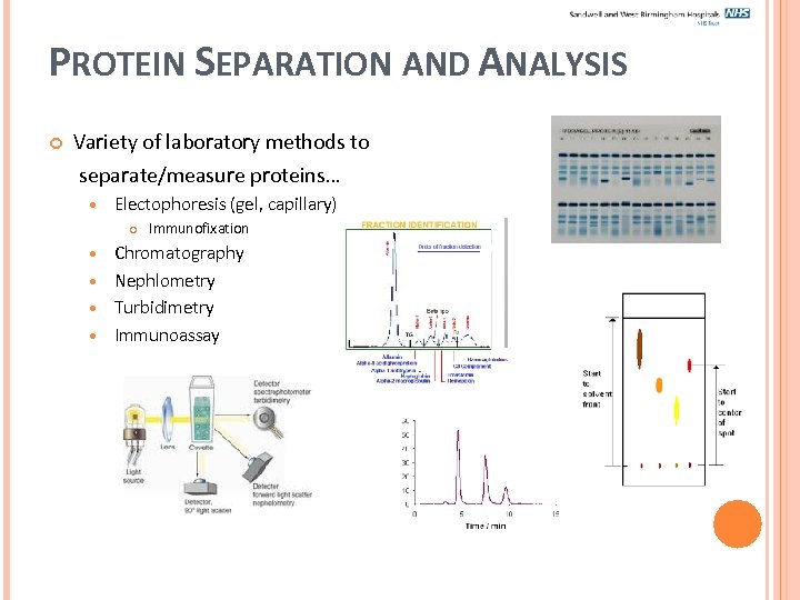 PROTEIN SEPARATION AND ANALYSIS Variety of laboratory methods to separate/measure proteins… Electophoresis (gel, capillary)