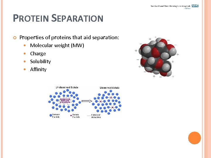 PROTEIN SEPARATION Properties of proteins that aid separation: Molecular weight (MW) Charge Solubility Affinity