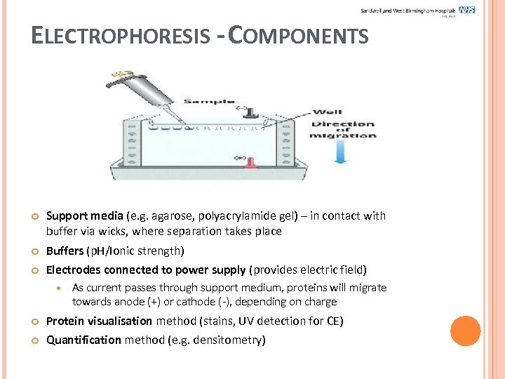 ELECTROPHORESIS - COMPONENTS Support media (e. g. agarose, polyacrylamide gel) – in contact with