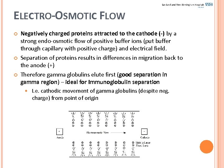 ELECTRO-OSMOTIC FLOW Negatively charged proteins attracted to the cathode (-) by a strong endo-osmotic