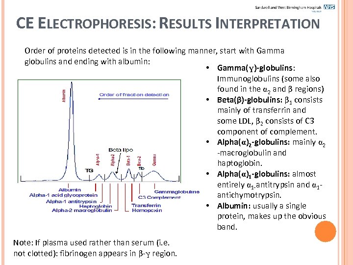 CE ELECTROPHORESIS: RESULTS INTERPRETATION Order of proteins detected is in the following manner, start