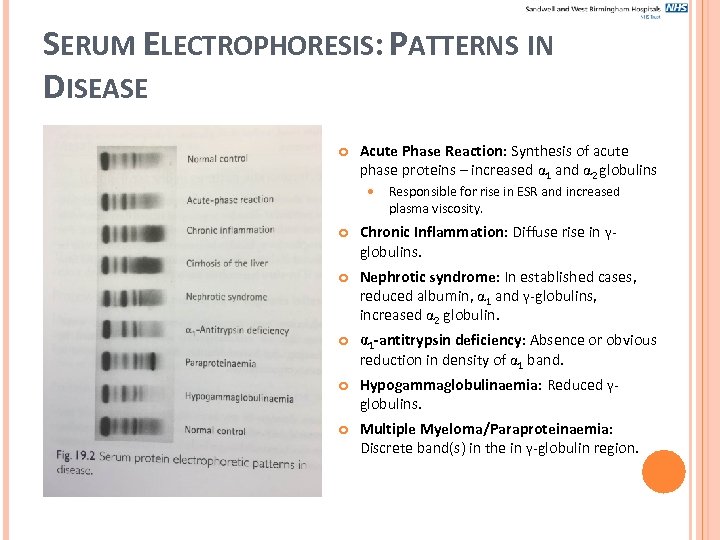 SERUM ELECTROPHORESIS: PATTERNS IN DISEASE Acute Phase Reaction: Synthesis of acute phase proteins –