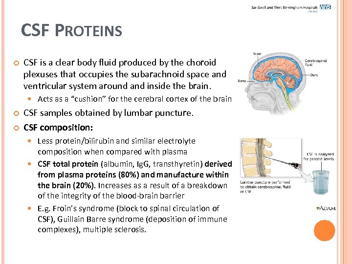 CSF PROTEINS CSF is a clear body fluid produced by the choroid plexuses that