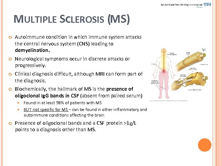 MULTIPLE SCLEROSIS (MS) Autoimmune condition in which immune system attacks the central nervous system