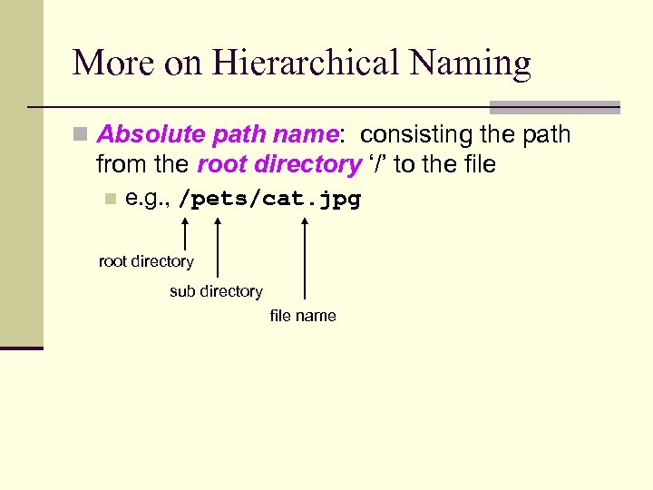 More on Hierarchical Naming n Absolute path name: consisting the path from the root