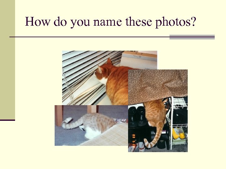 How do you name these photos? 