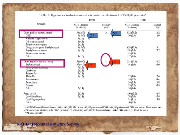 NICHD - Neonatal Network Survey 