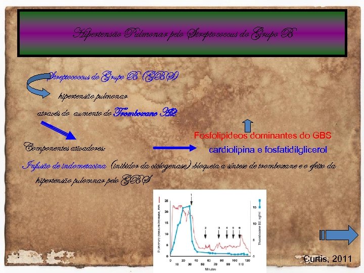 Hipertensão Pulmonar pelo Streptococcus do Grupo B (GBS) hipertensão pulmonar através do aumento do