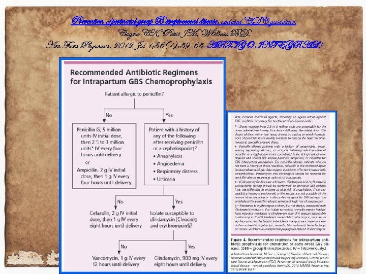 Prevention of perinatal group B streptococcal disease: updated CDC guideline. Cagno CK, Pettit JM,