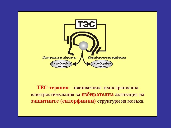 ТЕС-терапия – неинвазивна транскраниална електростимулация за избирателна активация на защитните (ендорфинни) структури на мозъка.