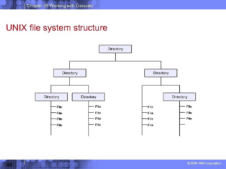 Chapter 05 Working with Datasets UNIX file system structure 48 © 2006 IBM Corporation