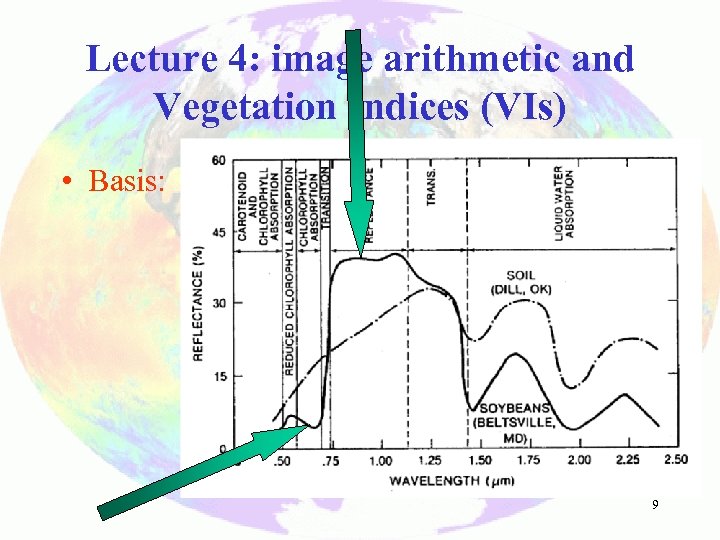 Lecture 4: image arithmetic and Vegetation Indices (VIs) • Basis: 9 