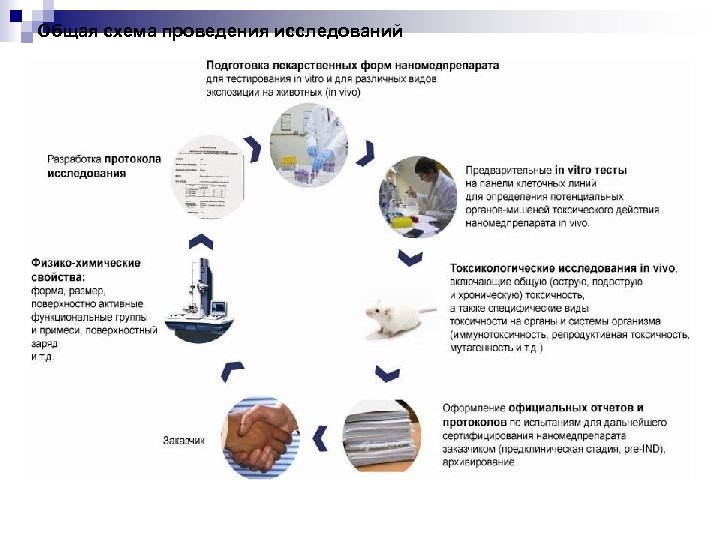 Общая схема проведения исследований 