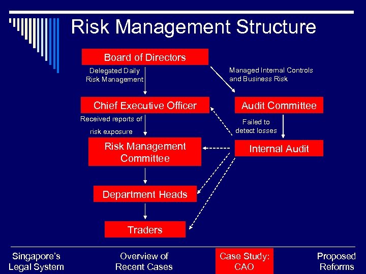 Risk Management Structure Board of Directors Delegated Daily Risk Management Chief Executive Officer Received