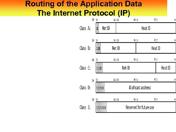 Routing of the Application Data The Internet Protocol (IP) 