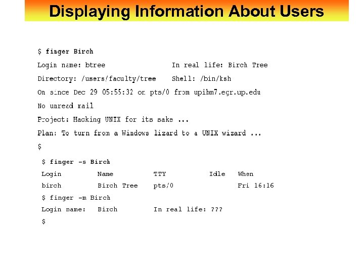 Displaying Information About Users 