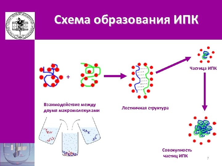 Схема образования ИПК Частица ИПК + Взаимодействие между двумя макромолекулами Лестничная структура Совокупность частиц