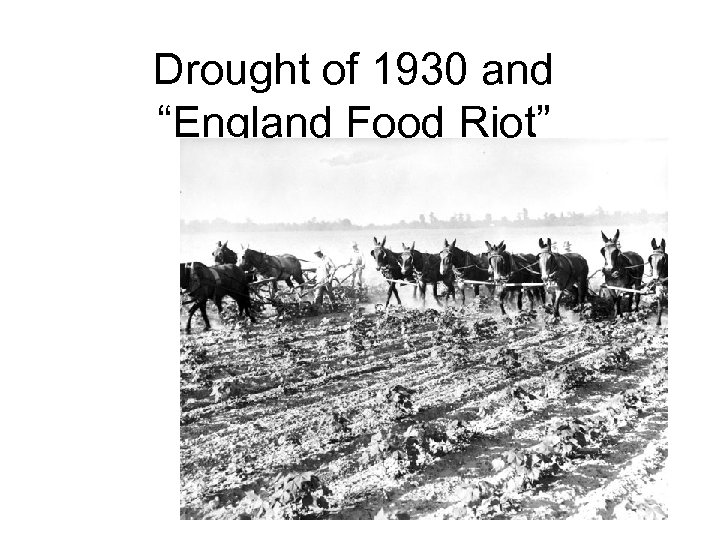 Drought of 1930 and “England Food Riot” 