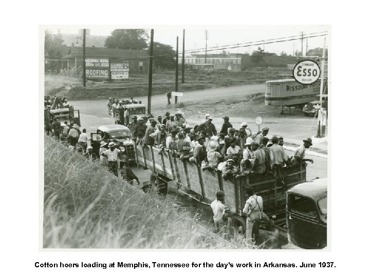 Cotton hoers loading at Memphis, Tennessee for the day's work in Arkansas. June 1937.