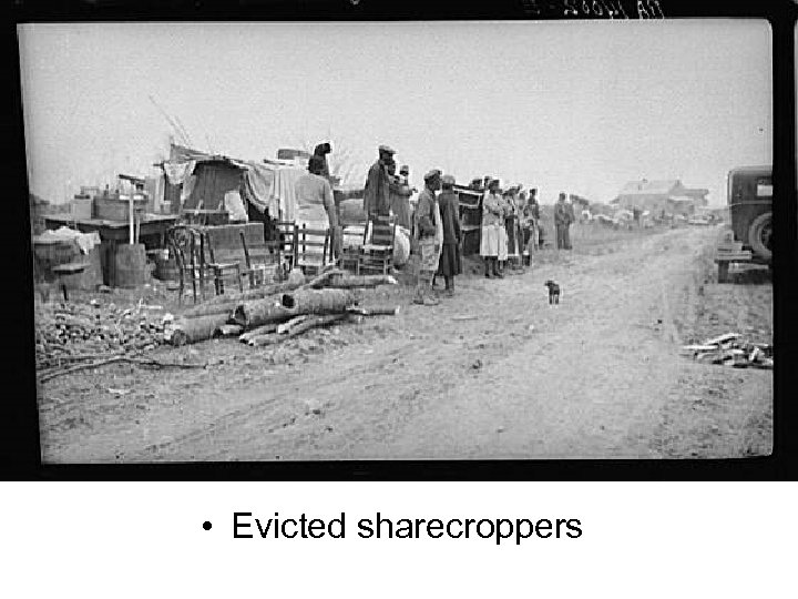  • Evicted sharecroppers 