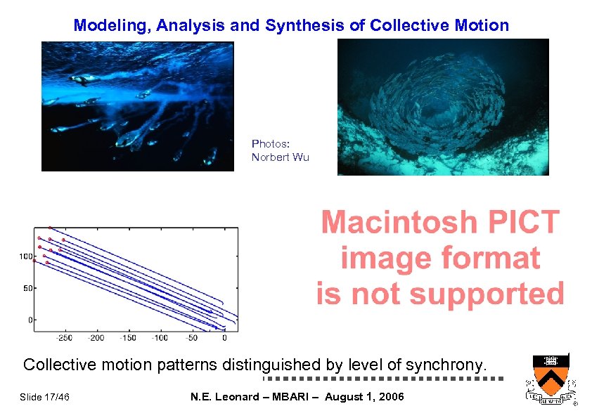 Modeling, Analysis and Synthesis of Collective Motion Photos: Norbert Wu Collective motion patterns distinguished