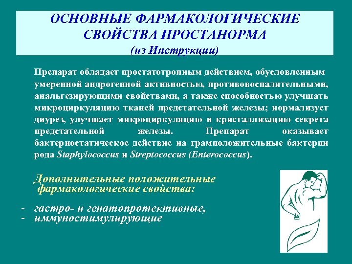 ОСНОВНЫЕ ФАРМАКОЛОГИЧЕСКИЕ СВОЙСТВА ПРОСТАНОРМА (из Инструкции) Препарат обладает простатотропным действием, обусловленным умеренной андрогенной активностью,