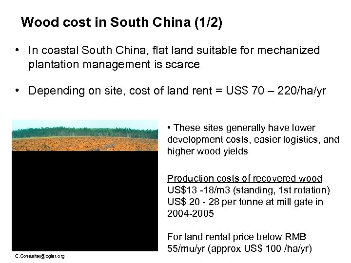 Wood cost in South China (1/2) • In coastal South China, flat land suitable