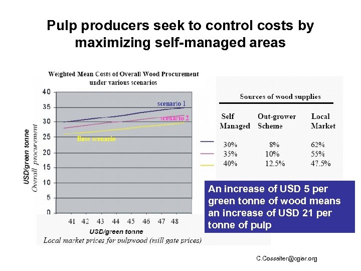 Pulp producers seek to control costs by maximizing self-managed areas An increase of USD