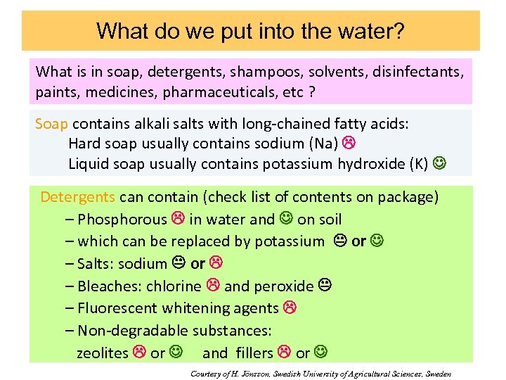 What do we put into the water? What is in soap, detergents, shampoos, solvents,