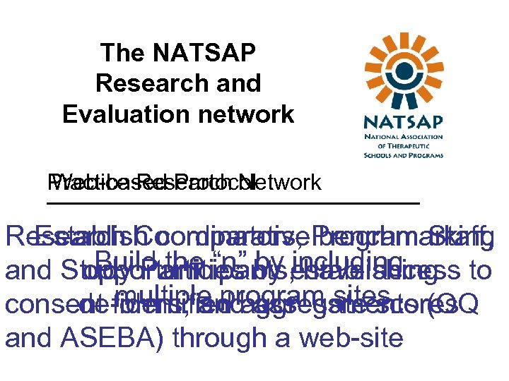 The NATSAP Research and Evaluation network Practice Research Network Web-based Protocol Research Coordinators, Program