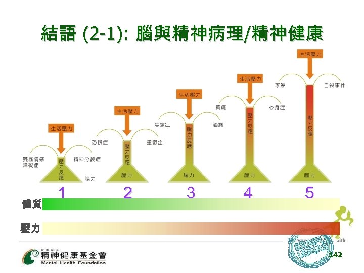 結語 (2 -1): 腦與精神病理/精神健康 體質 1 2 3 4 5 壓力 142 