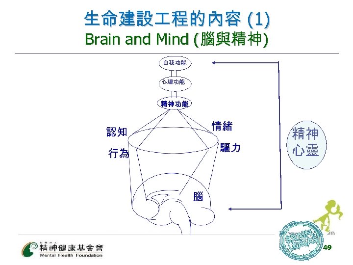 生命建設 程的內容 (1) Brain and Mind (腦與精神) 自我功能 心理功能 精神 心靈 49 