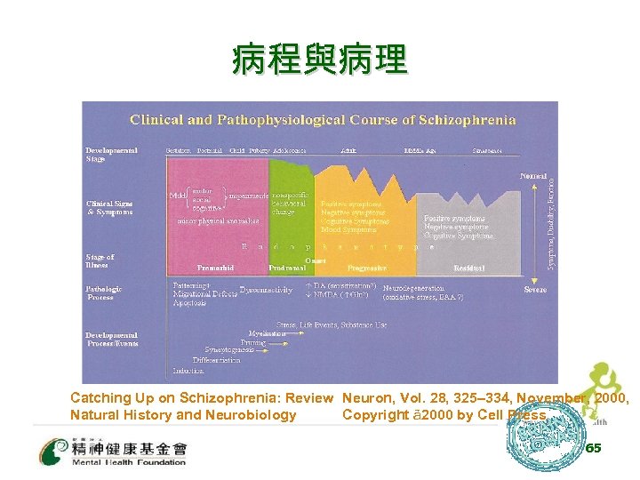 病程與病理 Catching Up on Schizophrenia: Review Neuron, Vol. 28, 325– 334, November, 2000, Natural