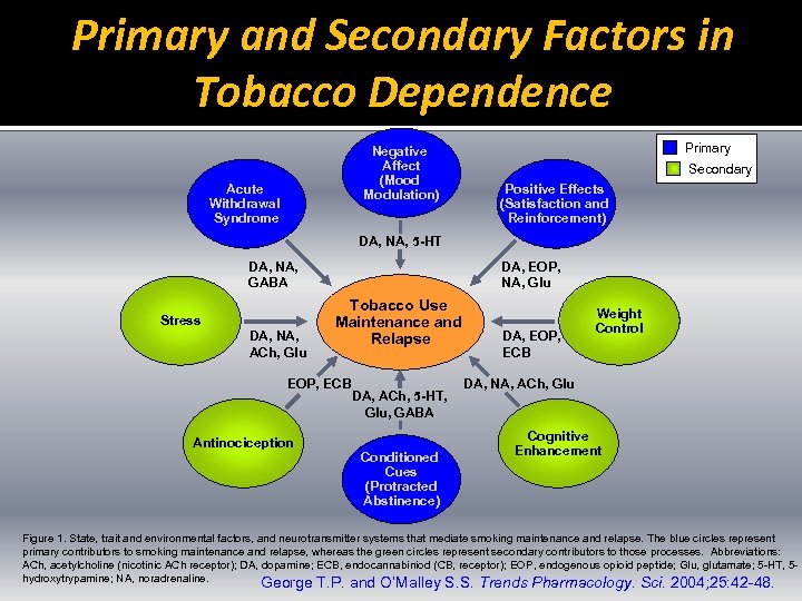 Primary and Secondary Factors in Tobacco Dependence Negative Affect (Mood Modulation) Acute Withdrawal Syndrome