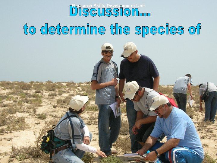 Research Skills Development Unit 