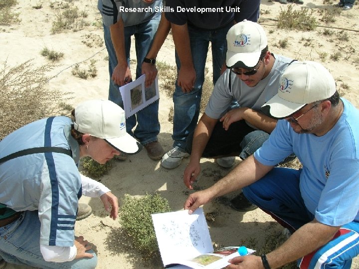 Research Skills Development Unit 