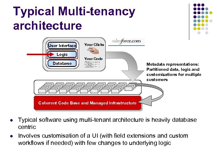 Typical Multi-tenancy architecture User Interface Your Clicks Logic Your Code Database Metadata representations: Partitioned