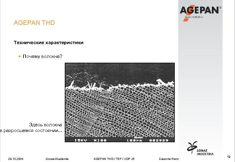AGEPAN THD Технические характеристики · Почему волокна? Здесь волокна в разросшемся состоянии. . .