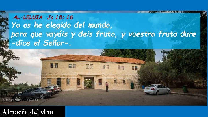 AL·LELUIA Jo 15: 16 Yo os he elegido del mundo, para que vayáis y