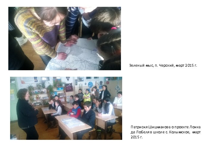 Зеленый мыс, п. Черский, март 2015 г. Патрисия Шишманова о проекте Лоика де Лобеля