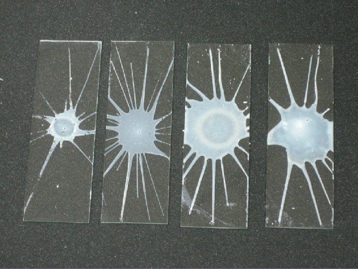 Finding the Optimal RPM and Time 0. 2 m. L HAc (hydrogen acetate) in